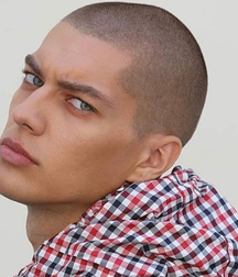  Bluelines Twink Tube 493 5ebaaff859ac7.jpg