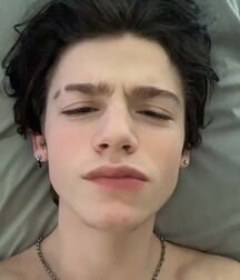  Bluelines Twink Tube 494 5ebab0fe4e178.jpg