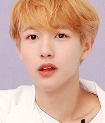  Bluelines Twink Tube 611 5ec00601b5066.gif