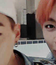  Bluelines Twink Tube 620 5ec4032916a98.gif