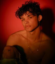  Bluelines Twink Tube 661 5ecdf0ba62352.jpg