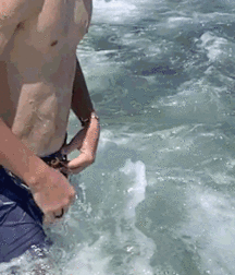  Bluelines Twink Tube 665 5ecf70a0cf1c5.gif