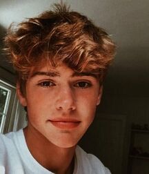 Bluelines Twink Tube 679 5ed29f3f7d2ac.jpg