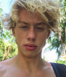 Bluelines 705 Twink Tube  5ed7ccb393e57.png