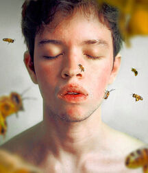 Bluelines 744 Twink Porn 5ee266c85f123.jpg