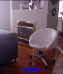 Bluelines 815 Twink Porn 5ef96cc0a2d7b.gif