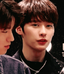  Cute Media Boys 36 Twinks Porn 5f05ffb243a93.gif