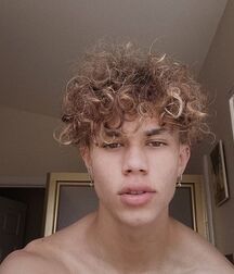  Bluelines 857Twink Porn 5f075a6dc7c6f.jpg