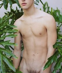 Bluelines 907 Teen Young Boys Twink Porn 5f1e589777a92.jpg