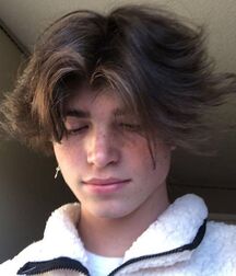 Bluelines Cute Media Boys 45 Gay Tube  twink Porn Art 5f25a0ccb7f3a.jpg