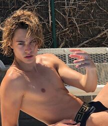 Horny Bluelines 972 Beautiful Teens Porn Gay 5f3d5f7173a47.jpg