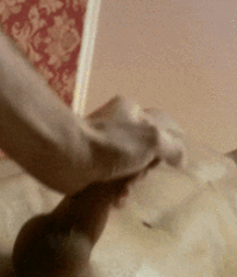 Luca Stunning Boys Porn 5f942fe575e4c.gif