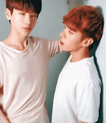 Cute Media Boys Porn 60 Ready For You  5f959eb7bcc2c.gif