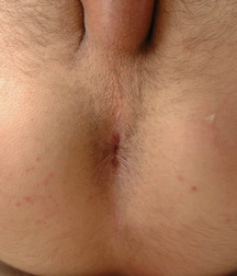 Alex Scene Boys Gay Porn Tube 5fcbb4535e039.jpg