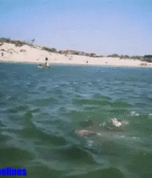 Cute Media Boys 68 Twink Tube 5ff49fe5295e2.gif