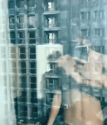 Bluelines 1186 Will Tube Porn  600472cb125f5.gif