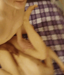 Hot Boys Twink United Gay Porn  61592ea9c0d7f.gif