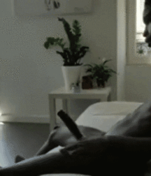 Hot Boys 62 Twink Gay Porn 6161375db401d.gif