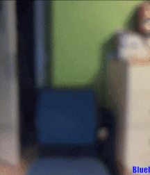 Friday On My Mind Gay Porn Popular 61c5723d0d9df.gif
