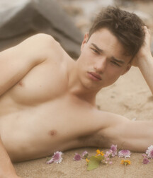 Twink Honey Pot 101 Asking Gay Porn 61d32c56e32ef.jpg