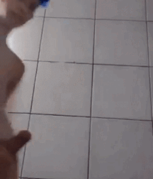 Blacker The Berry 6 Boys Porn In Demand Guys 623737c85cac4.gif