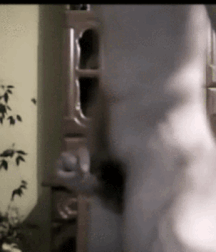 Thursday Blues Boys Twinks Gay Porn Beasts 62e23f19b8c59.gif