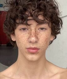 BL Boy C Handsome Daniel Cute BI Boy Twink Tube 62f4898041490.jpg