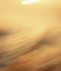 BL Boy C Handsome Daniel Cute BI Boy Twink Tube 62f489ec2e0df.gif