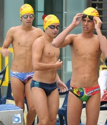 speedo 6