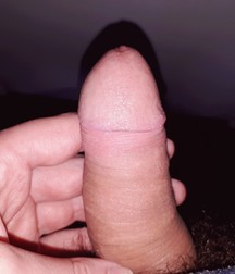 Cocks 5d4c22b6222d3.jpg