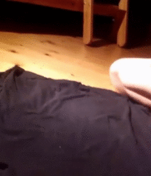 Gifs 5e0a53fe3235a.gif