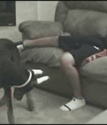 Teens and twinks 5e0efe418a11c.gif