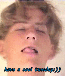 gay 22 5cf382c7308ec.gif