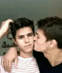 gay 29 5d0225fc97283.gif