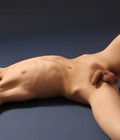 gay 43 5d0f41206b91e.jpg