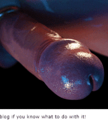 gay 54 5d1f1495a5d48.gif
