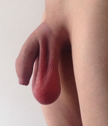 gay 56 5d2054337a46c.jpeg