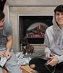 gay 68 5d32d06d81d1c.gif