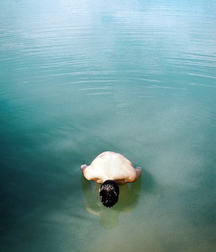 Young Man, Follow 5c36409fefe69.jpg