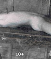 Chastity - Ball Stretching - CBT 5be26225f38c8.jpg