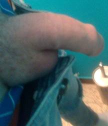 My selfie dick 5bf1473593f2f.jpg