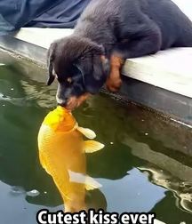 Enceladus16 Funny 5c08579e65332.jpg