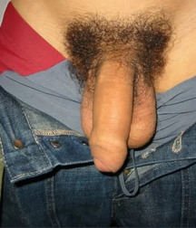 Bush cock unshaved gay porn guys stars 6237c6d8408c8.jpg