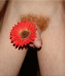 Bush cock unshaved gay porn guys stars 6237c789bcc1d.jpg