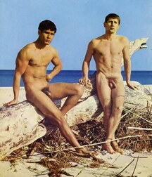 Public Outside Nude Gay Porn Boys Summer Beach 623fdfb6642f0.jpg
