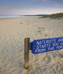 Public Outside Nude Gay Porn Boys Summer Beach 623fe06b7a280.jpg