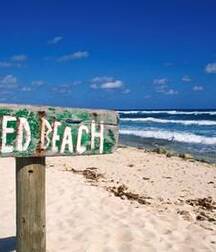 Public Outside Nude Gay Porn Boys Summer Beach 623fe07cb44e3.jpg