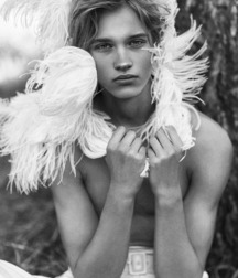 Beauty Boys 2 5c7fe2a617657.jpg