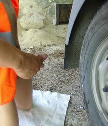 Orange Vest Boy 5c54c0ccf0094.jpg