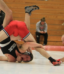 Wrestling  5c4bd11391568.jpeg